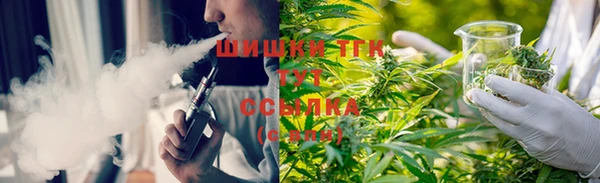 шишки Абдулино