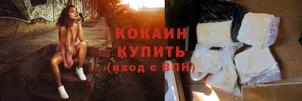 прущие грибы Абаза