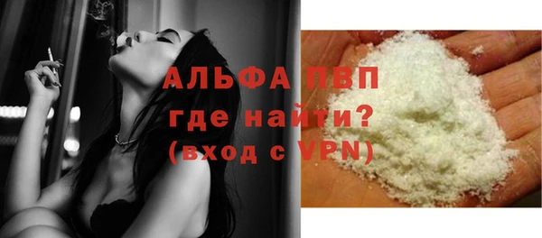 прущие грибы Абаза