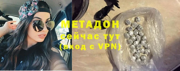 прущие грибы Абаза
