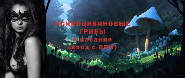шишки Абдулино