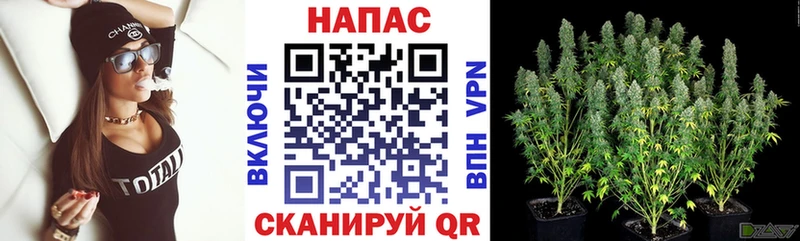 цена   kraken ONION  Бошки марихуана AK-47  Сусуман 